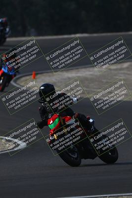 media/Nov-02-2025-Lets Ride (Sun) [[f7a3caa734]]/C Group/1040am (turn 3)/